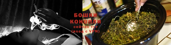 ECSTASY Белокуриха