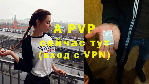 ECSTASY Белокуриха